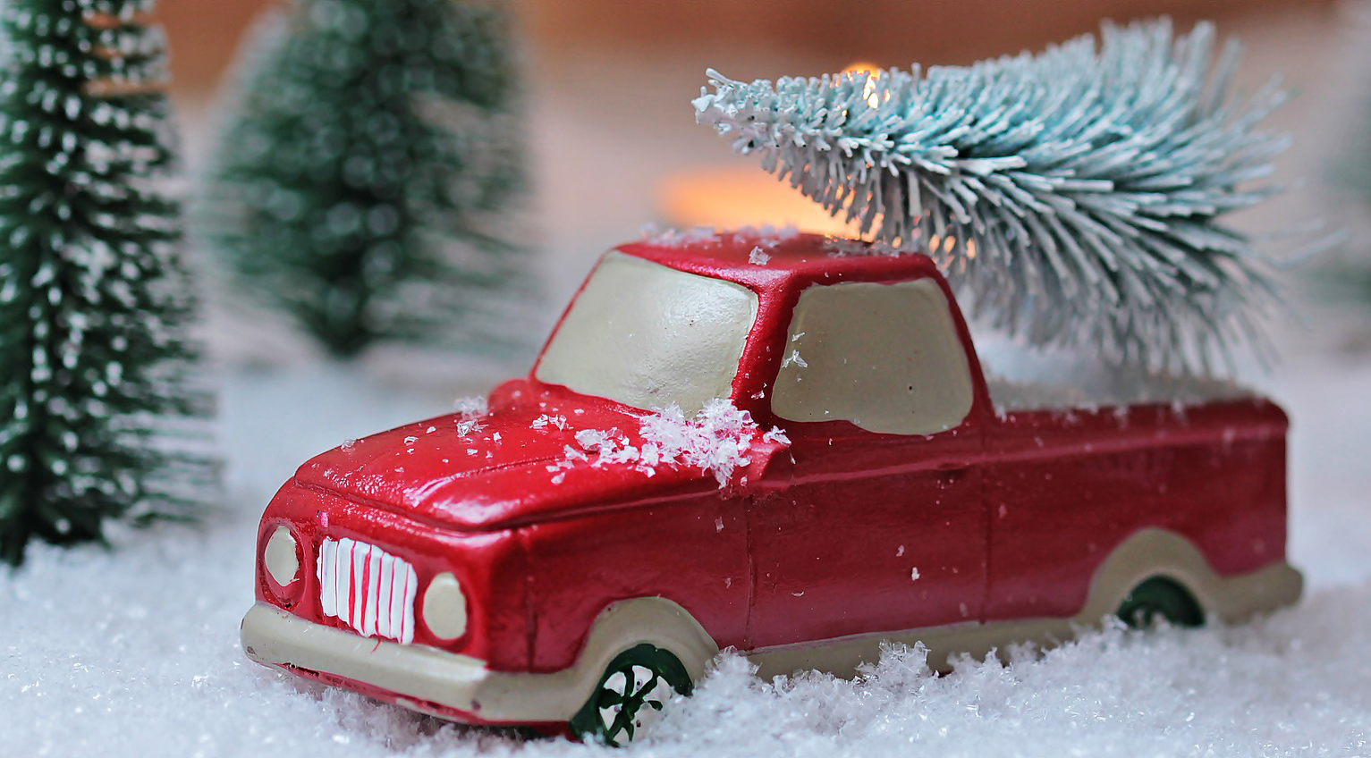 Tannenbaum Abholung In Wallenhorst Hollage Rulle Und Lechtingen Wallenhorst Aktuell