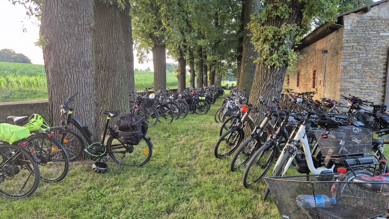 Das „Sommerflimmern“ in Wallenhorst-Lechtingen auf dem Gallowayhof Thünker. Foto: Marc Dallmöller / md-foto.com