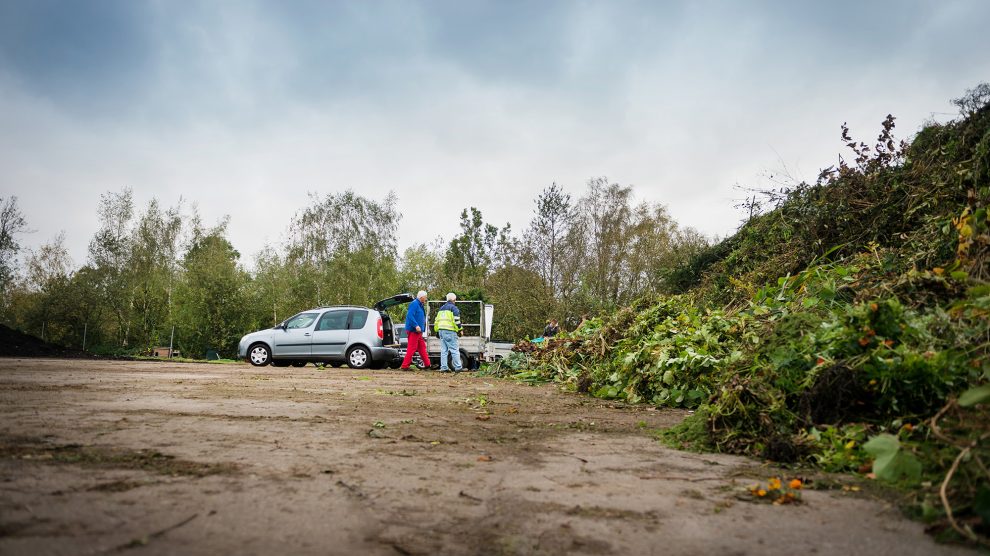 Grünschnitt kann kostenlos auf den Grünsammelplätzen der AWIGO entsorgt werden. Foto: AWIGO GmbH / A.W.Sobott