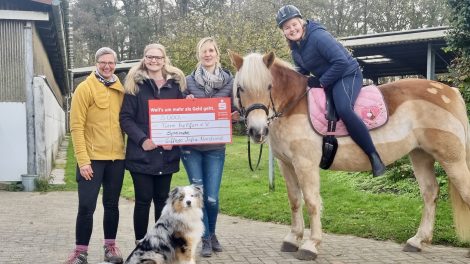 Daniela Kray (Reittherapeutin), Marina Lampe, Katrin Birke (beide Eiffage Infra-Nordwest), Mira auf Tara, Kaio (Therapiebegleithund in Ausbildung). Foto: Tiere helfen e.V.