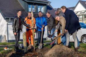 Eine Echte Mehlbeere wird als Baum des Jahres an der Windthorststraße in Wallenhorst gepflanzt. Foto: Gemeinde Wallenhorst / André Thöle